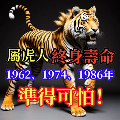 1986虎年五行|1986年屬虎是什麼命？最全虎命命相批註！